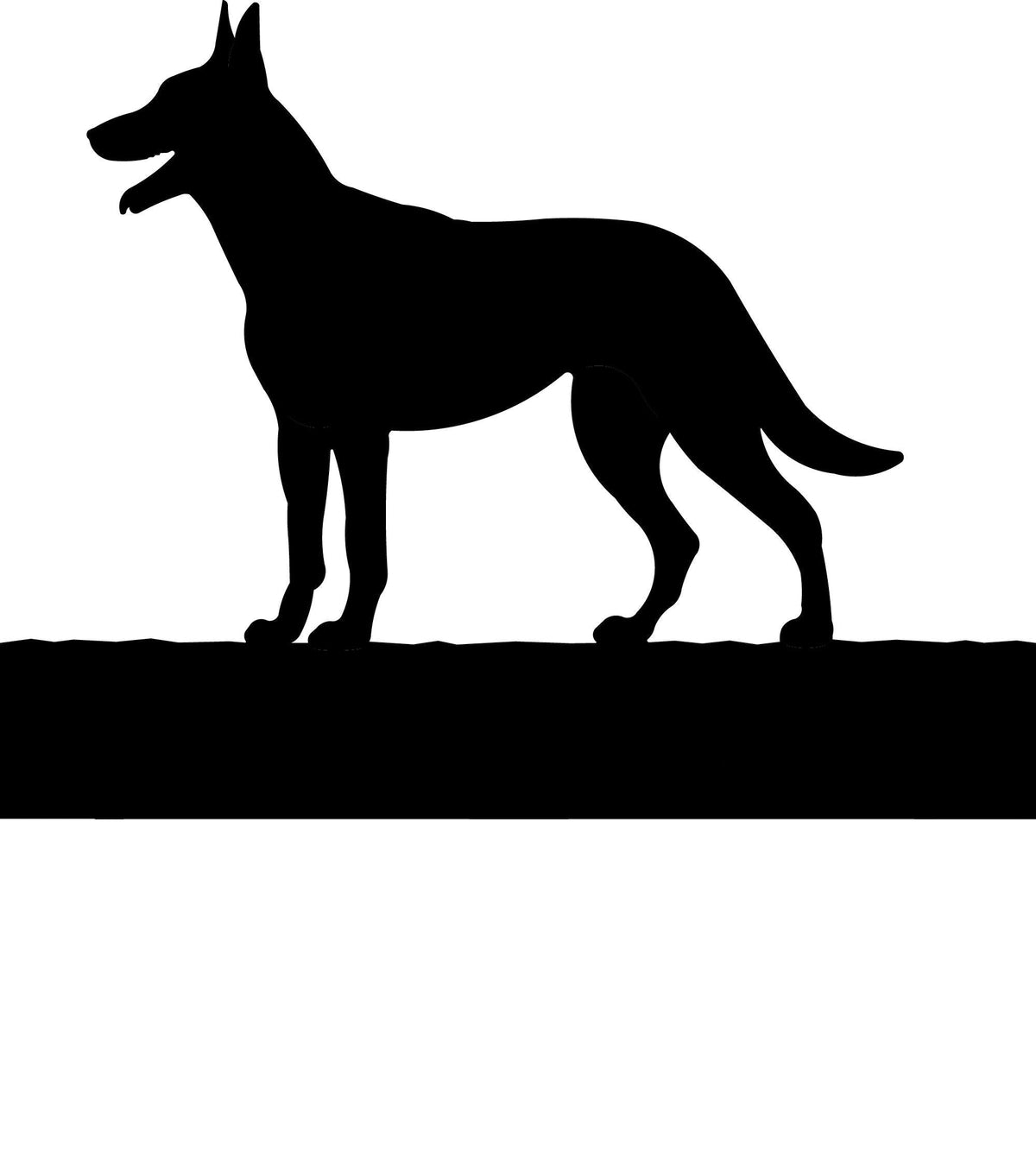 Belgian Malinois dog address stake