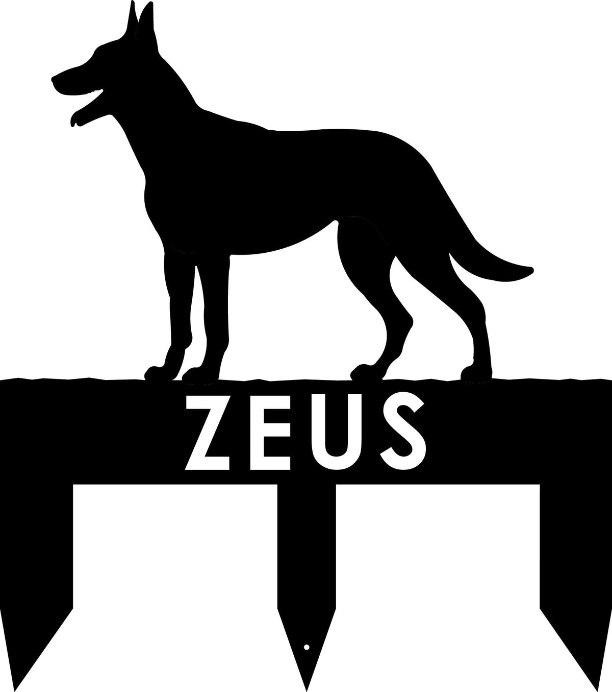 Belgian Malinois dog address stake