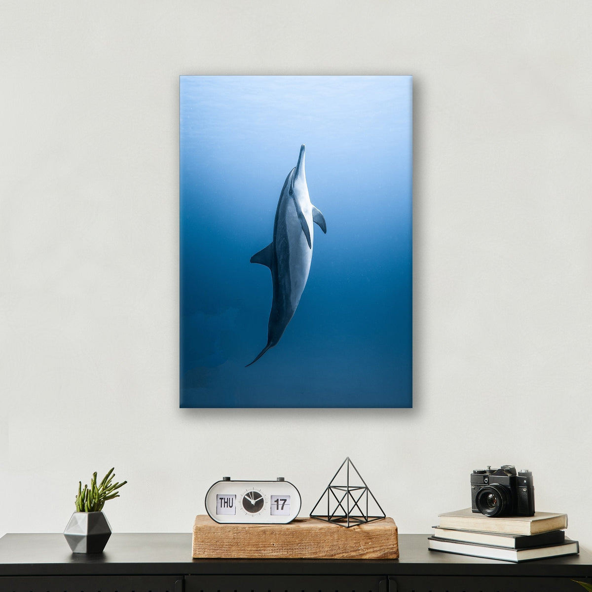Dolphin - Metal Print