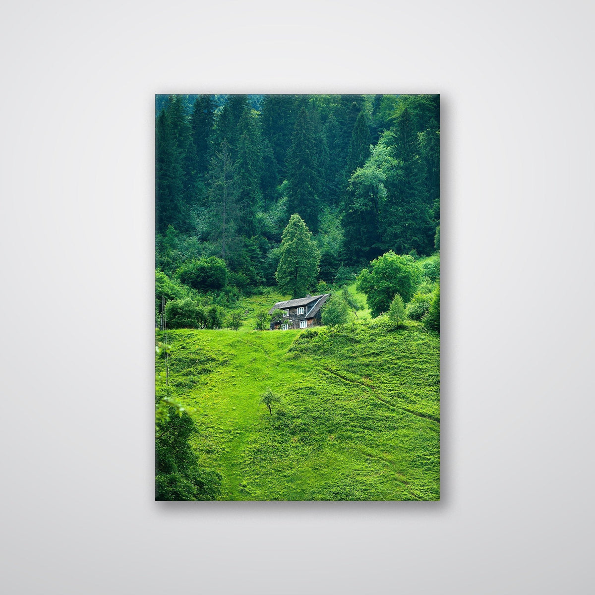 Forest House - Metal Print