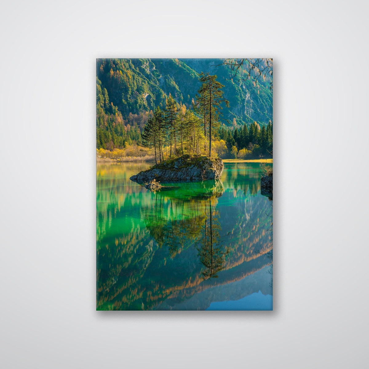 Lake Reflection - Metal Print