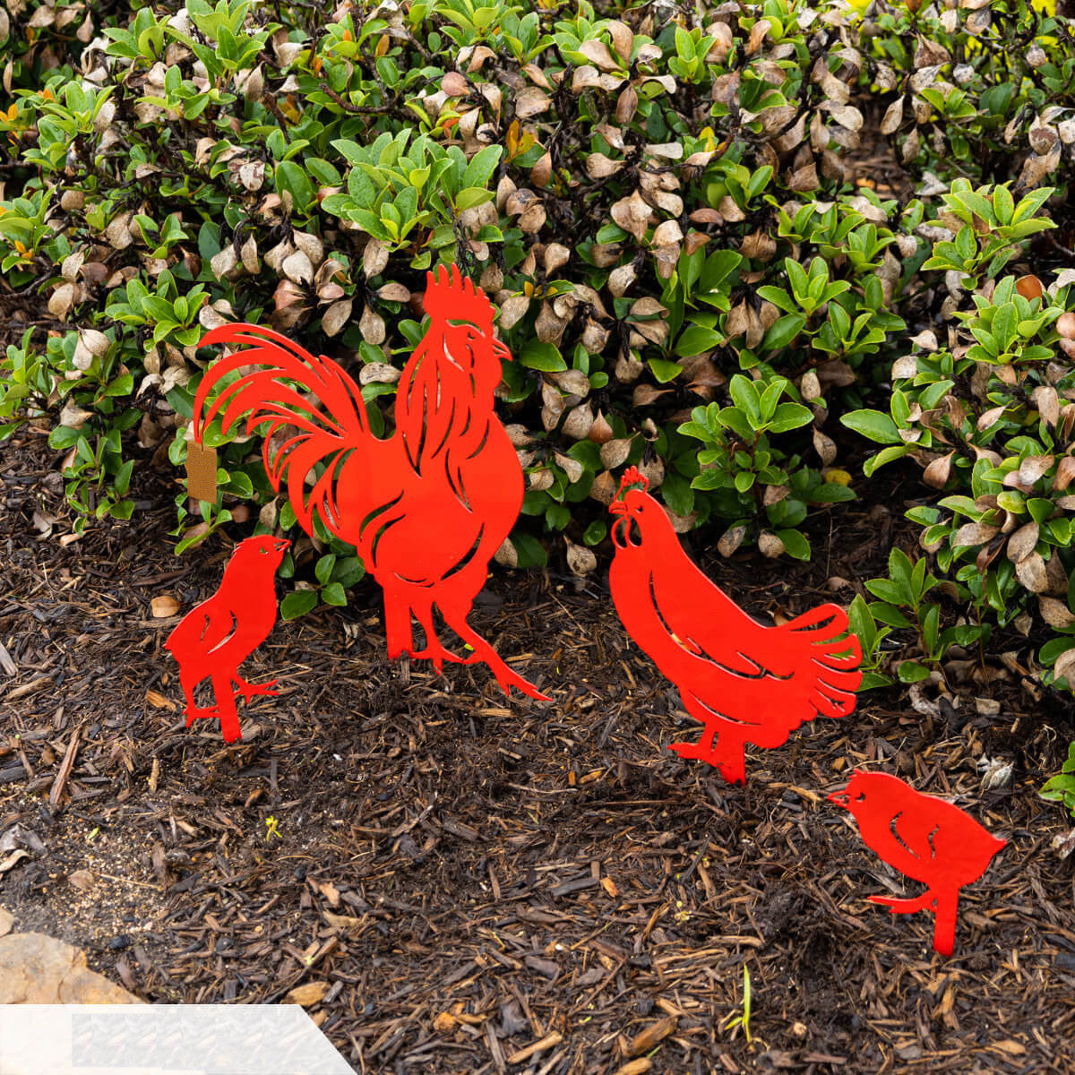 Chickens 4 Pack Garden stakes