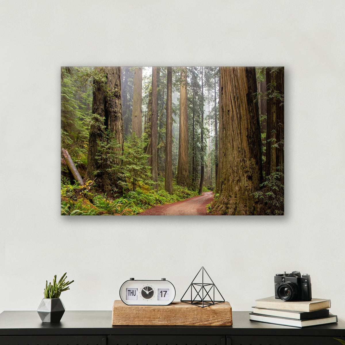 Redwood Forest - Metal Print