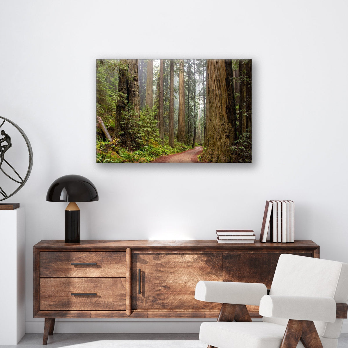Redwood Forest - Metal Print