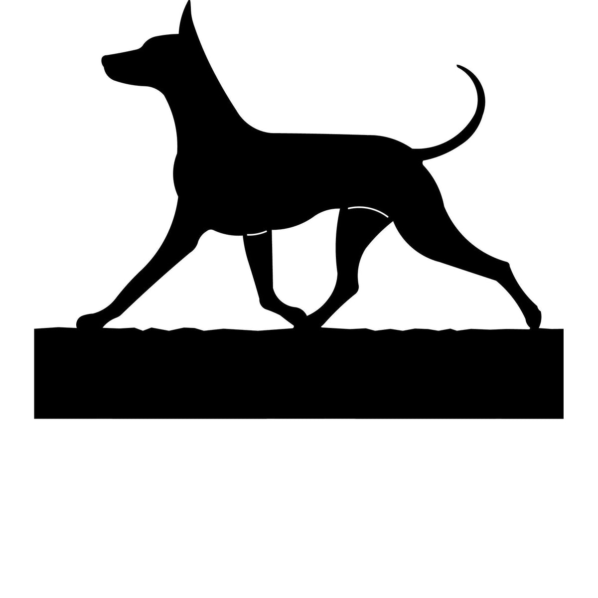 Xoloitzcuintli dog address stake
